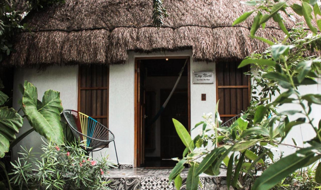 Cenote San Ignacio Villa Chocholá Dış mekan fotoğraf